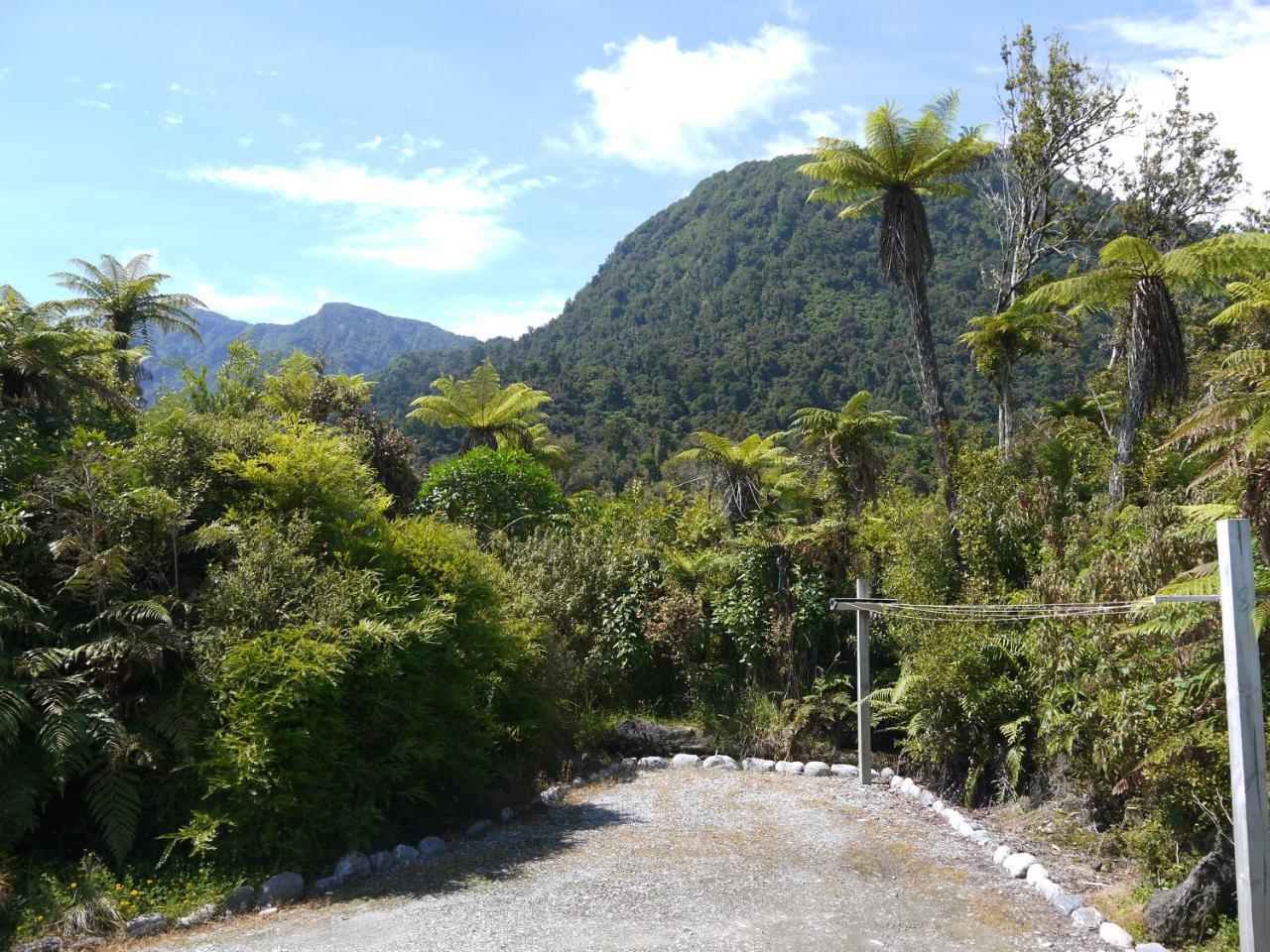 Franz Josef Treetops Εξωτερικό φωτογραφία